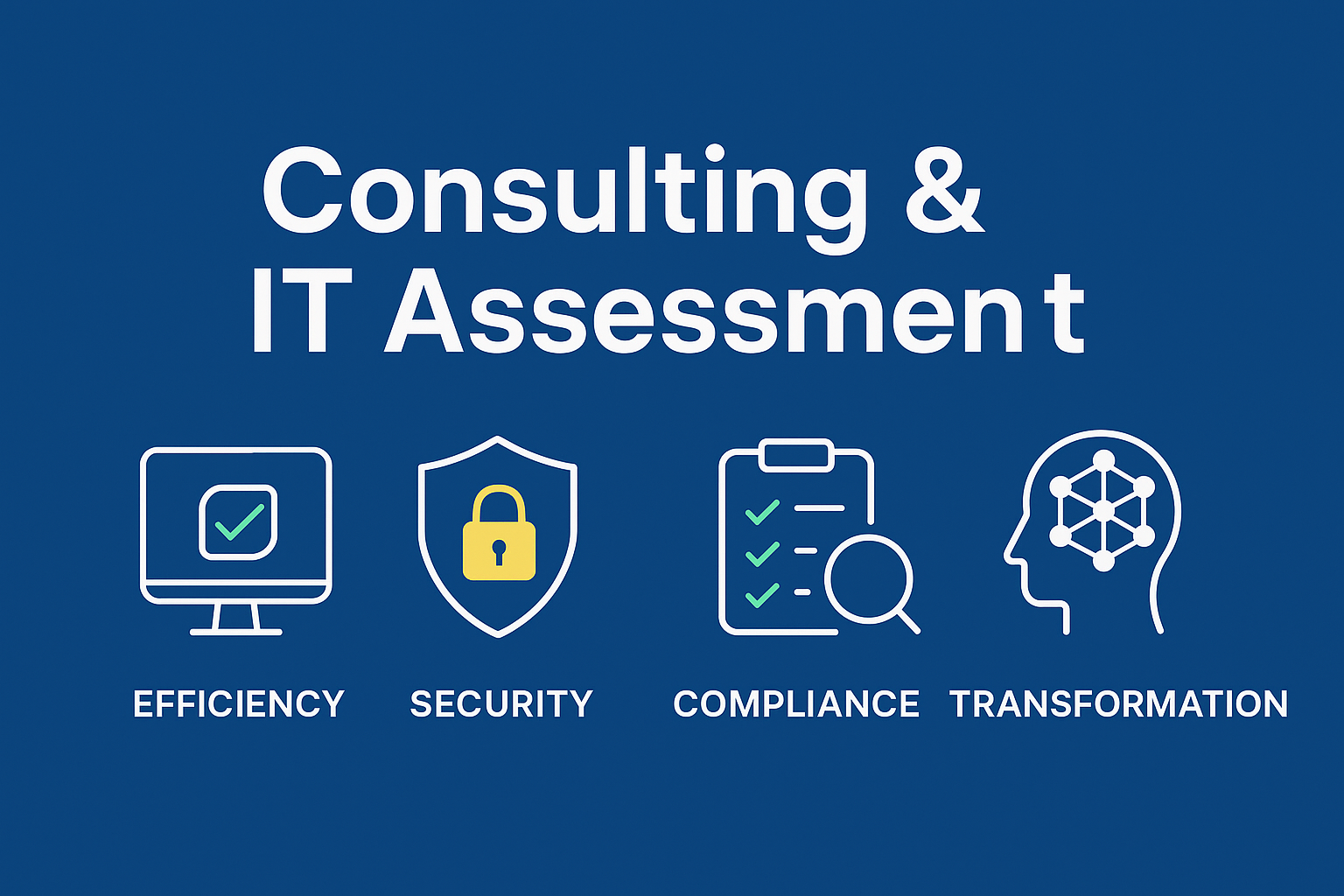 Consulting & IT Assessment